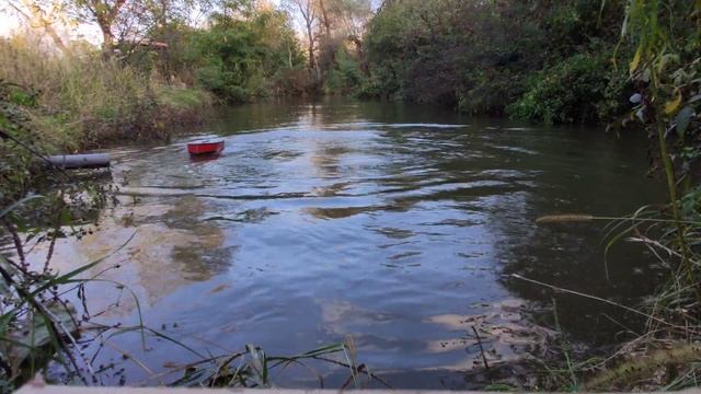 Карповый кораблик! Нано! смотреть онлайн