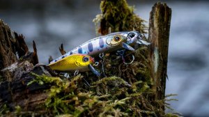 Trout в апреле, итоги конкурса #4
