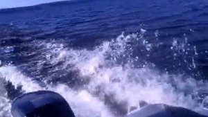 Badger CL 390 под Suzuki dt9,9(15)