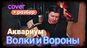 Аквариум - Волки и вороны (cover + Разбор)