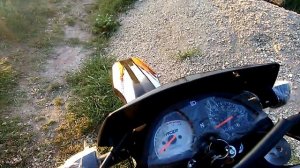 Рейсер пантера 300 краткий обзор