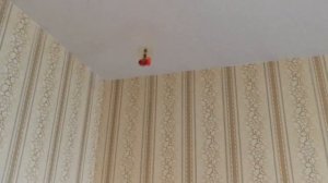 Обзор игрушки  Hand Induction Flying Cars.mp4