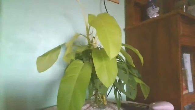 Lets Live!!! Java Finals Done смотреть онлайн