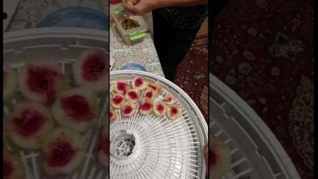 Садоводство по Железову. Опыт моих учеников и друзей. Серия 2.mp4