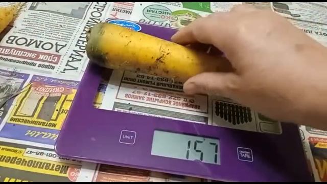 как убрать морковь с грядки/какую морковь я вырастила