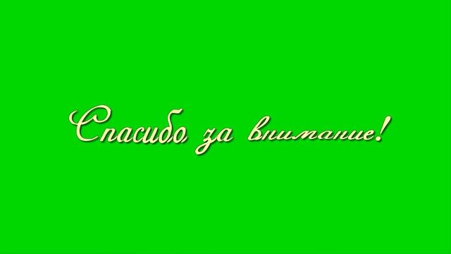 Футаж на зеленом фоне Спасибо за внимание!