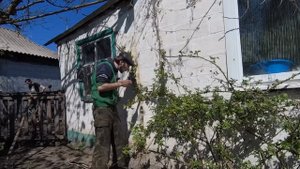 Как бороться с шипами роз? Простой способ от Натуралиста!