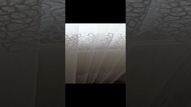 1000017510.mp4 смотреть онлайн