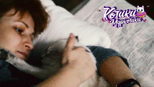 КотоЛЮБОВЬ! #котоЛюбовь #Котики-Муркотики