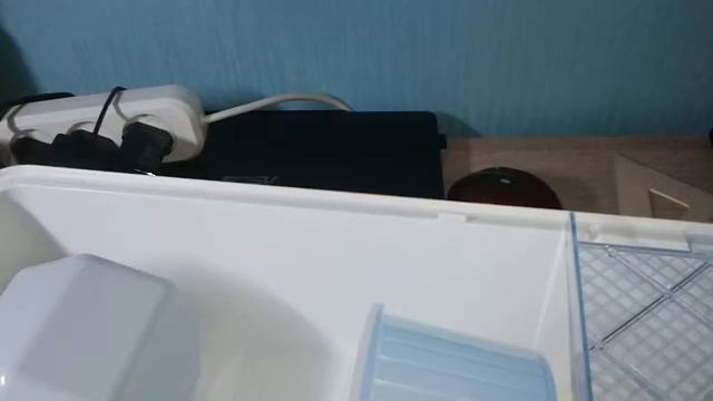 Дюна для хомяка. Завтра хомяк!#хомяк #дюна #обзор