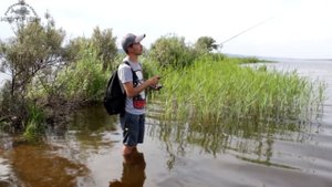 Спиннинг MAXIMUS Smuggler. Окунь на отводной поводок. Kamfish