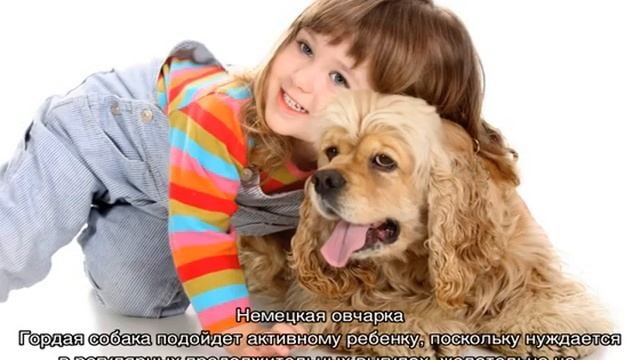 Породы собак для детей: какую лучше завести