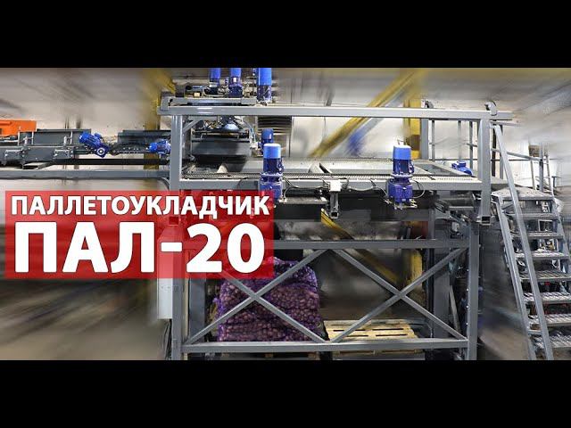 Паллетирование овощей (видео)