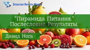 "Пирамида питания". (часть-2)  Послесловие. Результаты.  / Давид Нога / 20.01.24