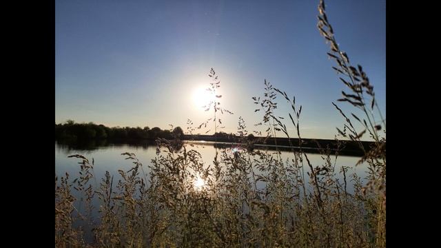 Дмитрий Гревцев - Дом родной мне снится по ночам смотреть онлайн