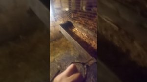 Кормушка для нутрий