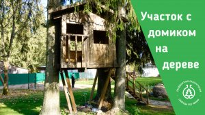 Участок с домиком на дереве
