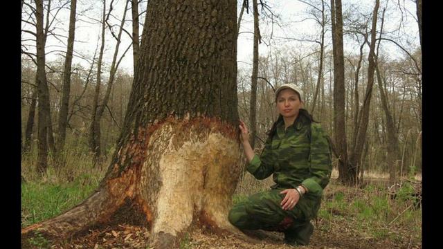земляки-Варварино+
