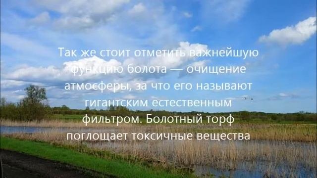 Самое большое болото в мире
