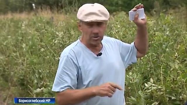 Житель Борисоглебского района пропагандирует нестандартное огородничество