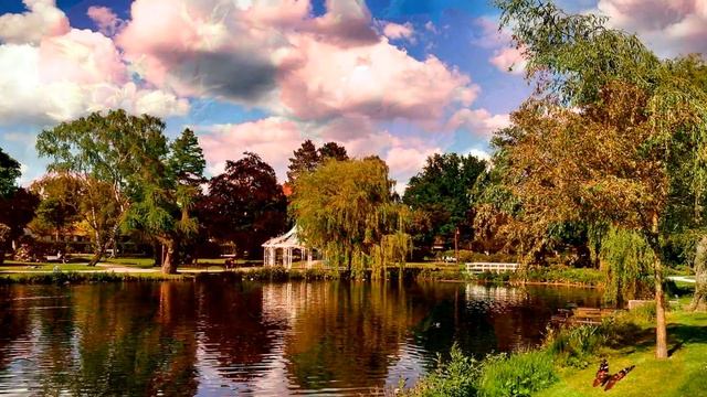 Парк роз Rosarium Uetersen. Германия смотреть онлайн