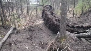 Посетили старые лесные делянки в поисках чермета.Нашли много интересного.