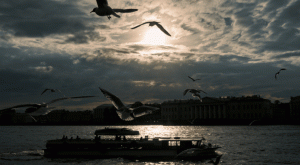 «Удар — и в воду»: Пригожин может быть причастен к хладнокровному убийству