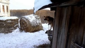Бердюгина. Старая Бердюгинская ГЭС на Нице.