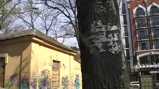 А чей это домик в Старобазарном сквере? смотреть онлайн