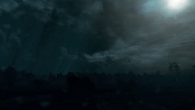 Rain Storm Time Lapse: The Witcher 3 WEATHER Mod Rain Texture смотреть онлайн