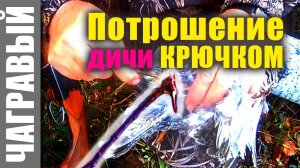 Потрошение дичи крючком. Eviscerate the bird with a hook. An ancient Russian way.