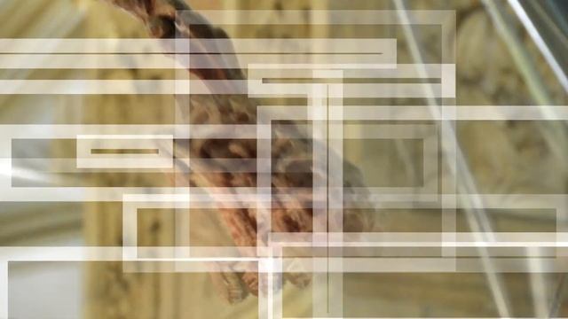 MAAB's ,,NACHTS IM MUSEUM" ( Natural History Museum London + Naturkundemuseum Berlin) смотреть онлайн