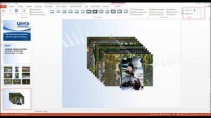 Как сделать несколько фото одной высоты в PowerPoint