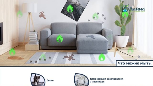 Лайна - супер средство для уборки и дезинфекции в доме с домашними животными смотреть онлайн