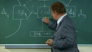 Психолингвистика (лекция 9)