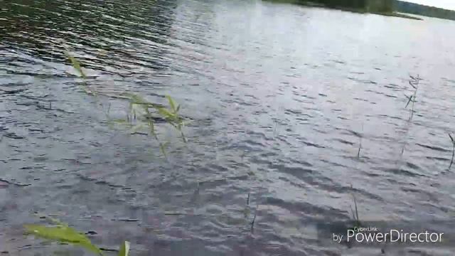 рыбалка карелия😁 смотреть онлайн