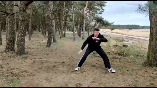 Capoeira 2 - Budo Academy Physical ONLINE DOJO смотреть онлайн