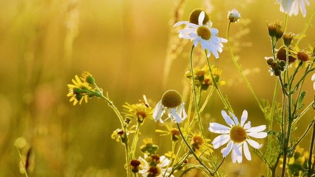 Аудіо Біблія українською мовою ❤️ Книга Числа 1-21 #біблія смотреть онлайн