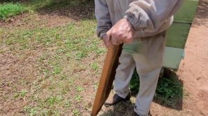 #149 Простой способ, Откачка мёда- пчеловодство для начинающих