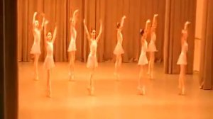 AРБ им.А.Я. Вагановой 3/7а 2013