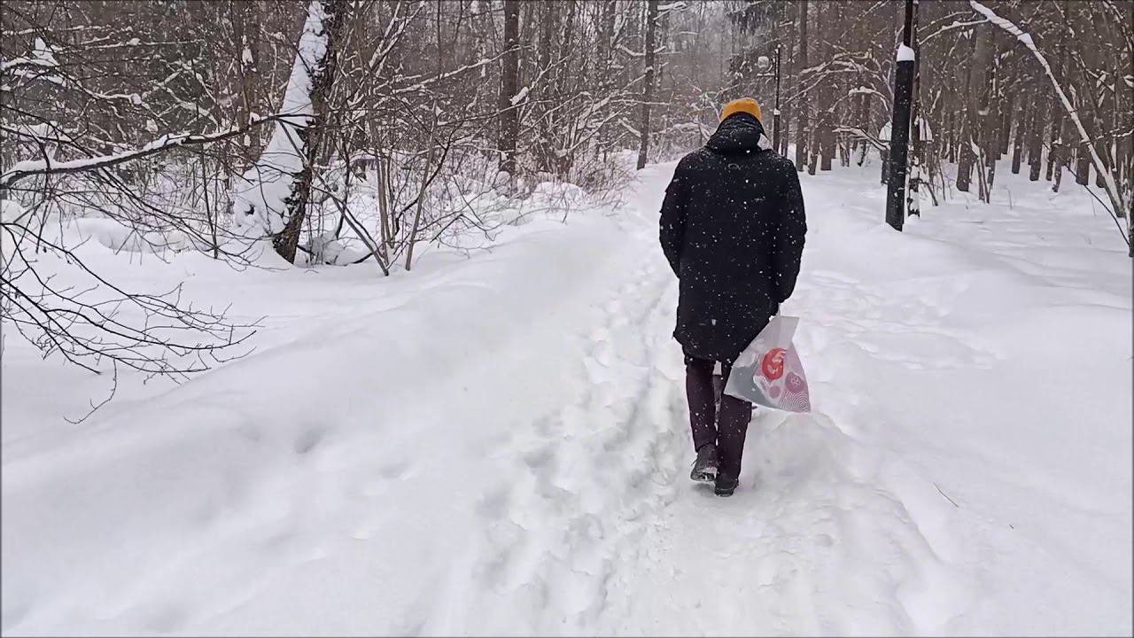 ЗИМНИЙ ЗЕЛЕНОГРАД! Зимняя сказка! Экологическая тропа. (13.02.2021)