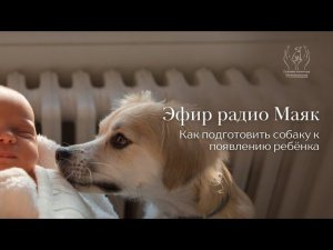 Как подготовить собаку к ребенку? Эфир радио "Маяк"