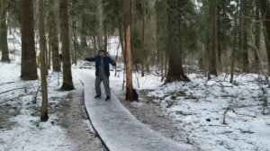 Экотропа "Комаровский берег" зимой