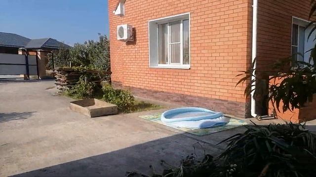 чем кормить коз 2023#сейчас#покажу#расскажу#сено#трава#сгорела# смотреть онлайн