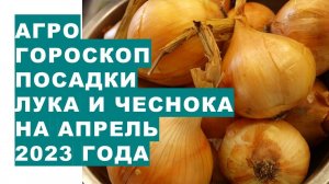 Агрогороскоп посадки лука и чеснока в апреле 2023 года. Агрогороскоп посадки цибулі  в квітні 2023