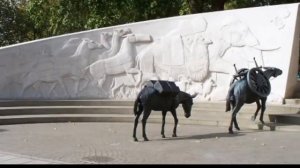 Памятники Животным Мира