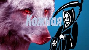 Чумка у собак
