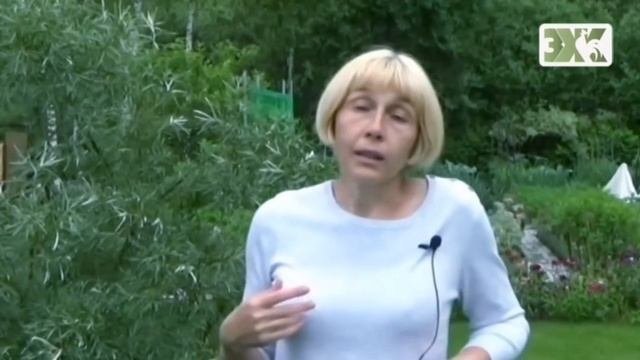 ЖИМОЛОСТЬ - ЛУЧШИЕ СОВЕТЫ