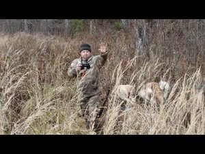 С лайками на вырубке