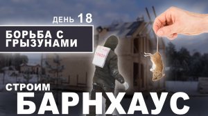 Строим БАРНХАУС из СИП-панелей.ВЗРЫВ,БОРЬБА С ГРЫЗУНАМИ(ДЕНЬ 18)Дом из СИП панелей в стиле БАРН ХАУС